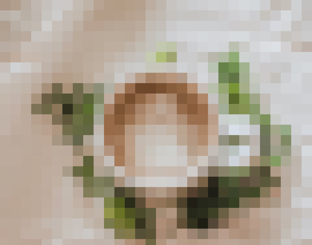 f26